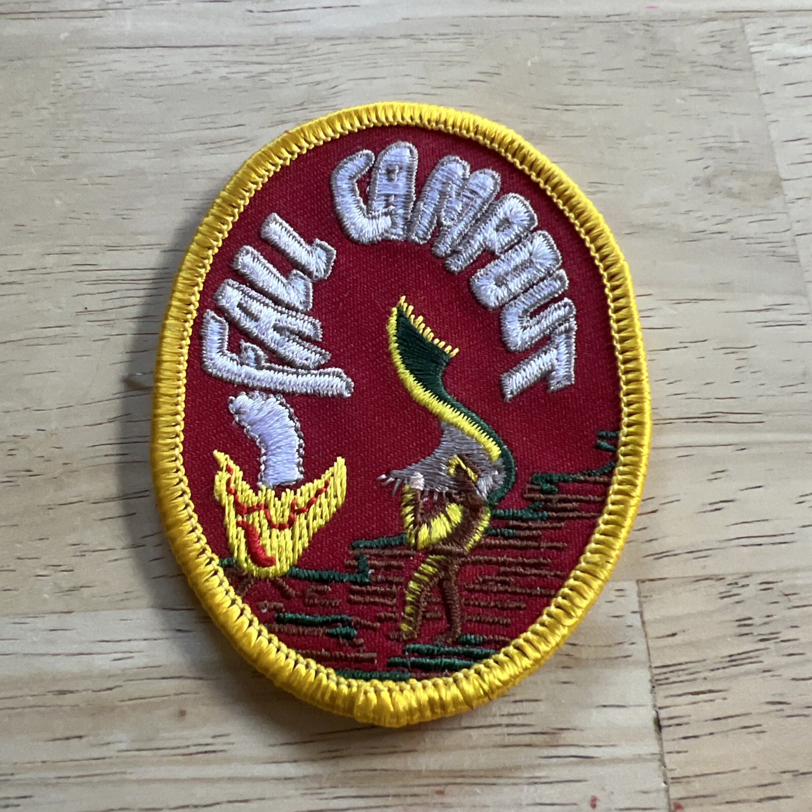 VTG BSA Boy/Cub Scout BSA Oval FALL CAMPOUT Camping Patch •