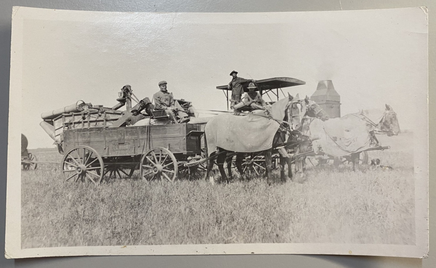 VTG RPPC Rumely OilPull Tractor Horse Team Farming Terry Montana MT Postcard VTG RPPC Rumely OilPull Tractor Horse Team Farming Terry Montana MT Postcard