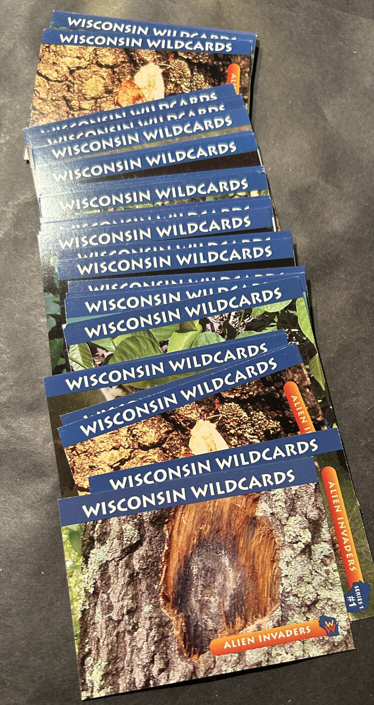 WISCONSIN WILDCARDS, 30 Blue Cards Assorted 3-1/2 WISCONSIN WILDCARDS, 30 Blue Cards Assorted 3-1/2