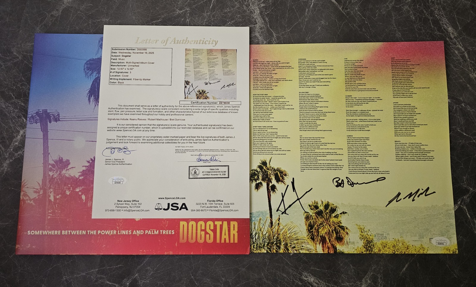 Dogstar Somewhere Between the Palm Trees and Powerlines Signed JSA LOA Dogstar Somewhere Between the Palm Trees and Powerlines Signed JSA LOA