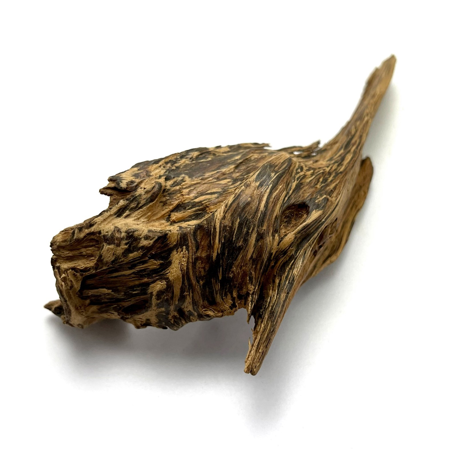 11grams Rare Wild High Resinuos Peninsular Aged Worm Hole Agarwood 马来半岛重油黑油老虫漏沉香