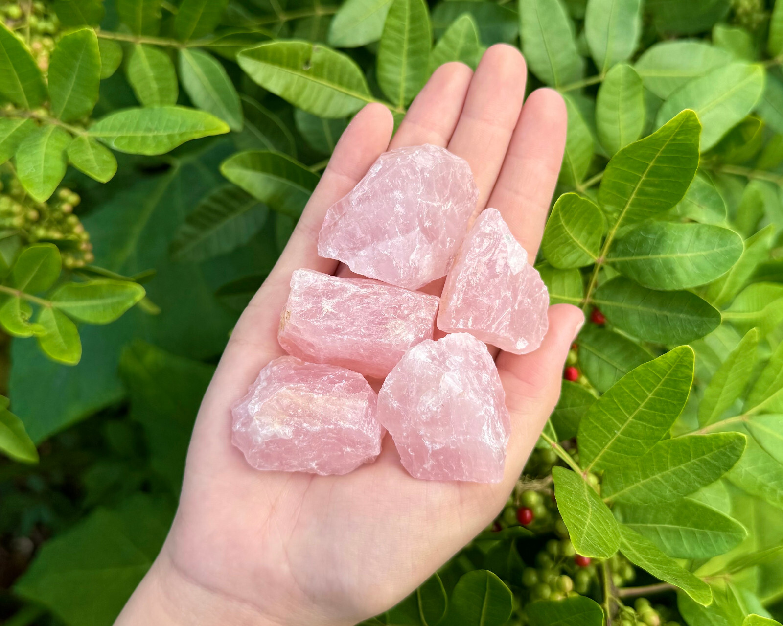 5 Brazil Rose Quartz Rough Natural Stones: 'A' Grade Crystals 5 Brazil Rose Quartz Rough Natural Stones: 'A' Grade Crystals