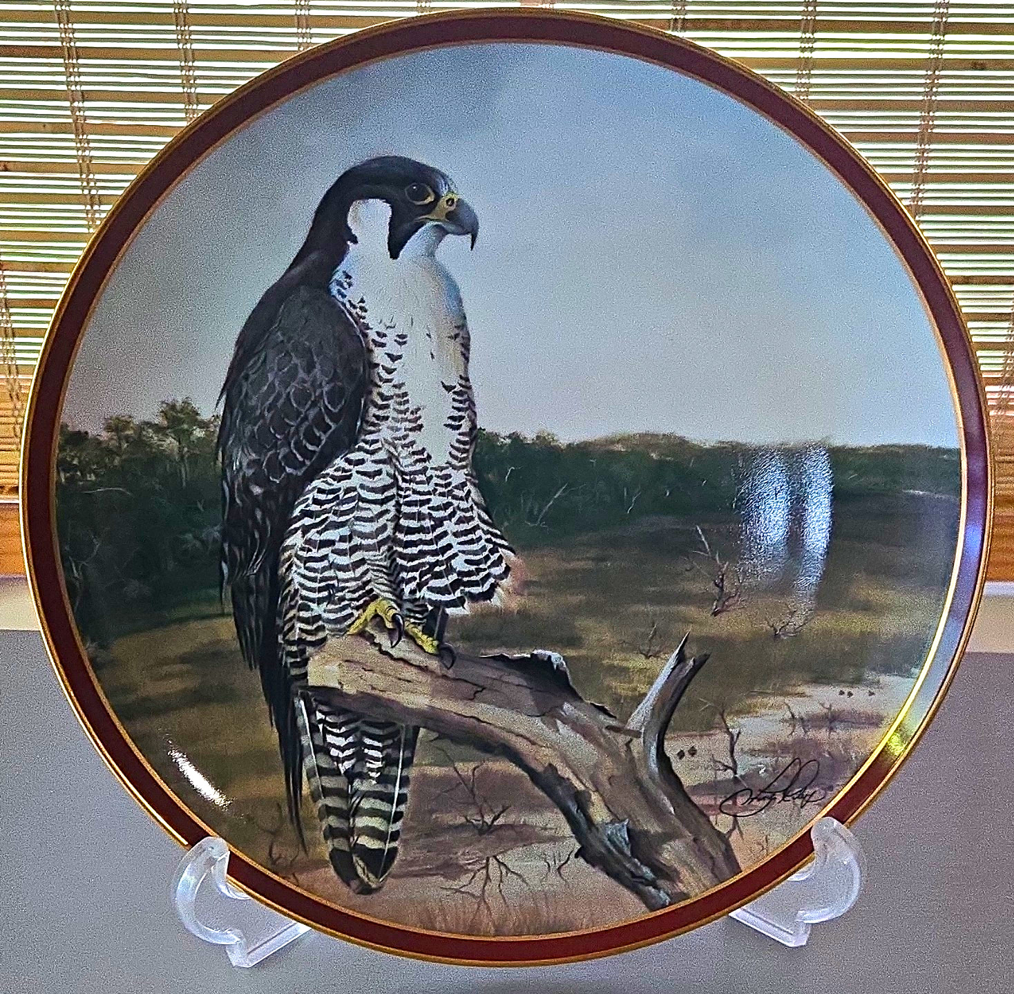 The Hamilton Collection Peregrine Falcon Majestic Birds of Prey Porcelain Plate