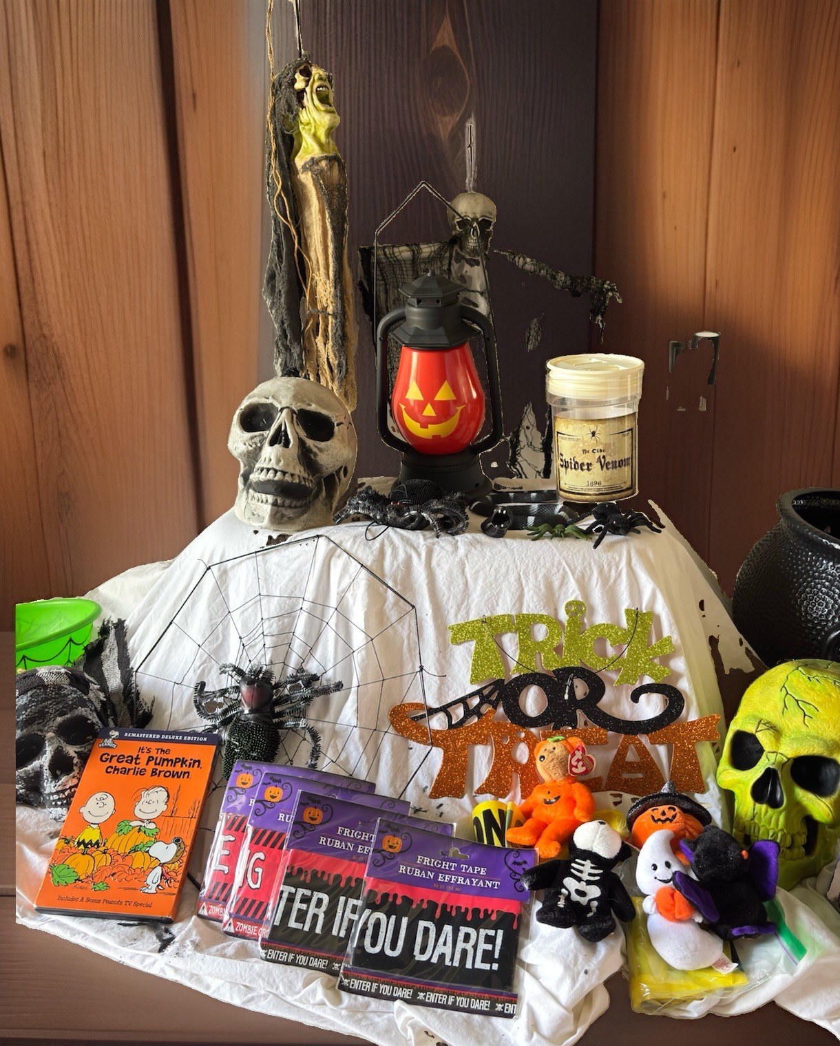 Halloween Decor Lot All Pieces  TY Beanie Charlie Brown DVD And TY Halloween