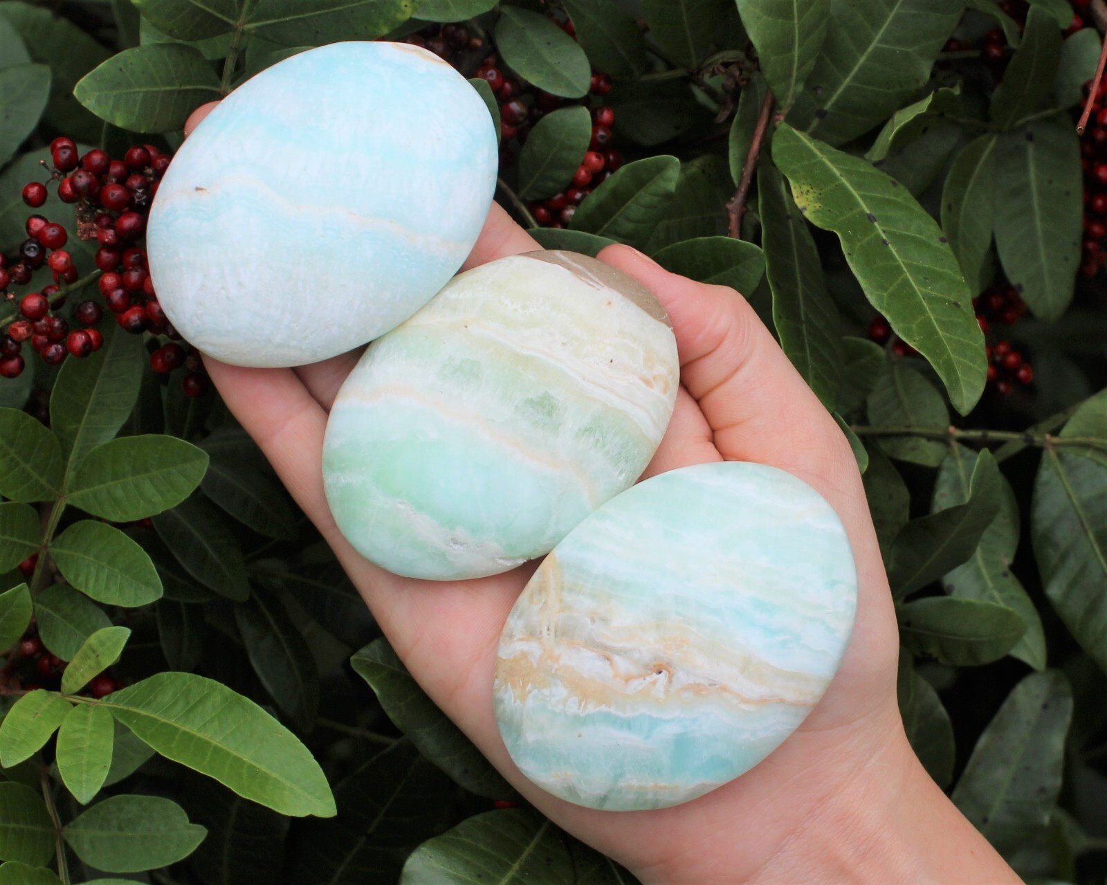 LARGE Caribbean Calcite Palm Stone: Hand Polished Smooth Palm Stone