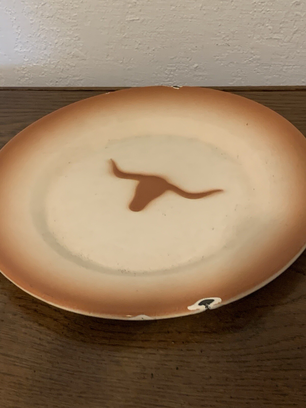 Vintage Large Enamelware Southwestern Texas Longhorn Steer 12”Plate Serving Tray Vintage Large Enamelware Southwestern Texas Longhorn Steer 12”Plate Serving Tray