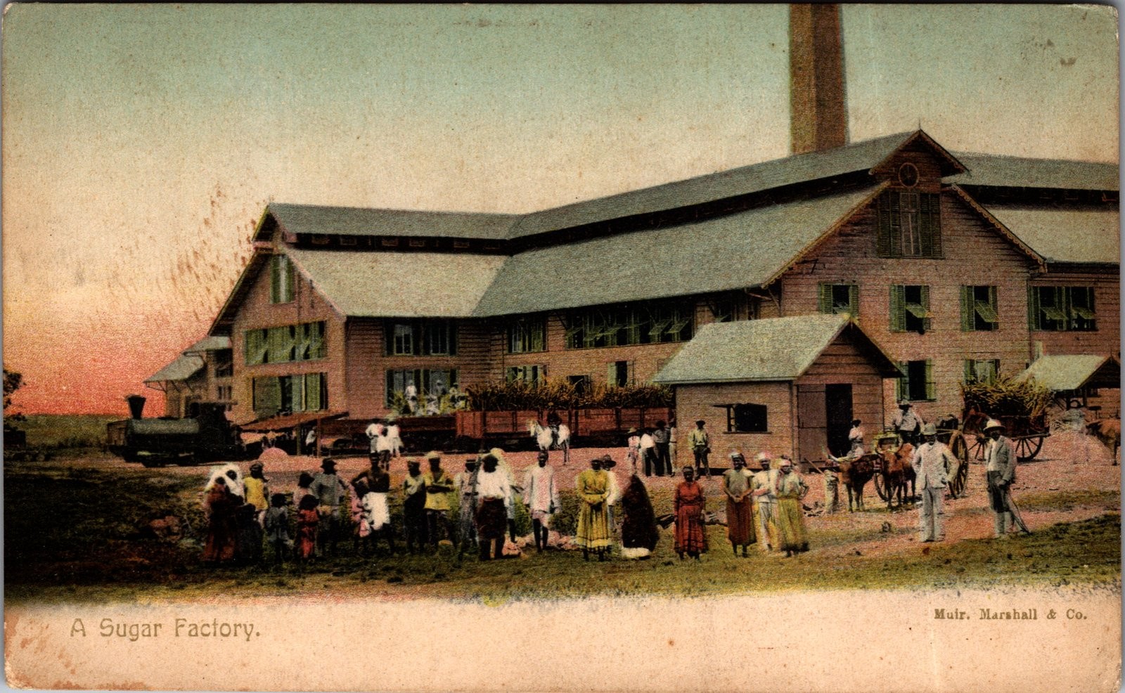 Antique Postcard A Sugar Factory Muir Marshall & Co Trinidad Caribbean