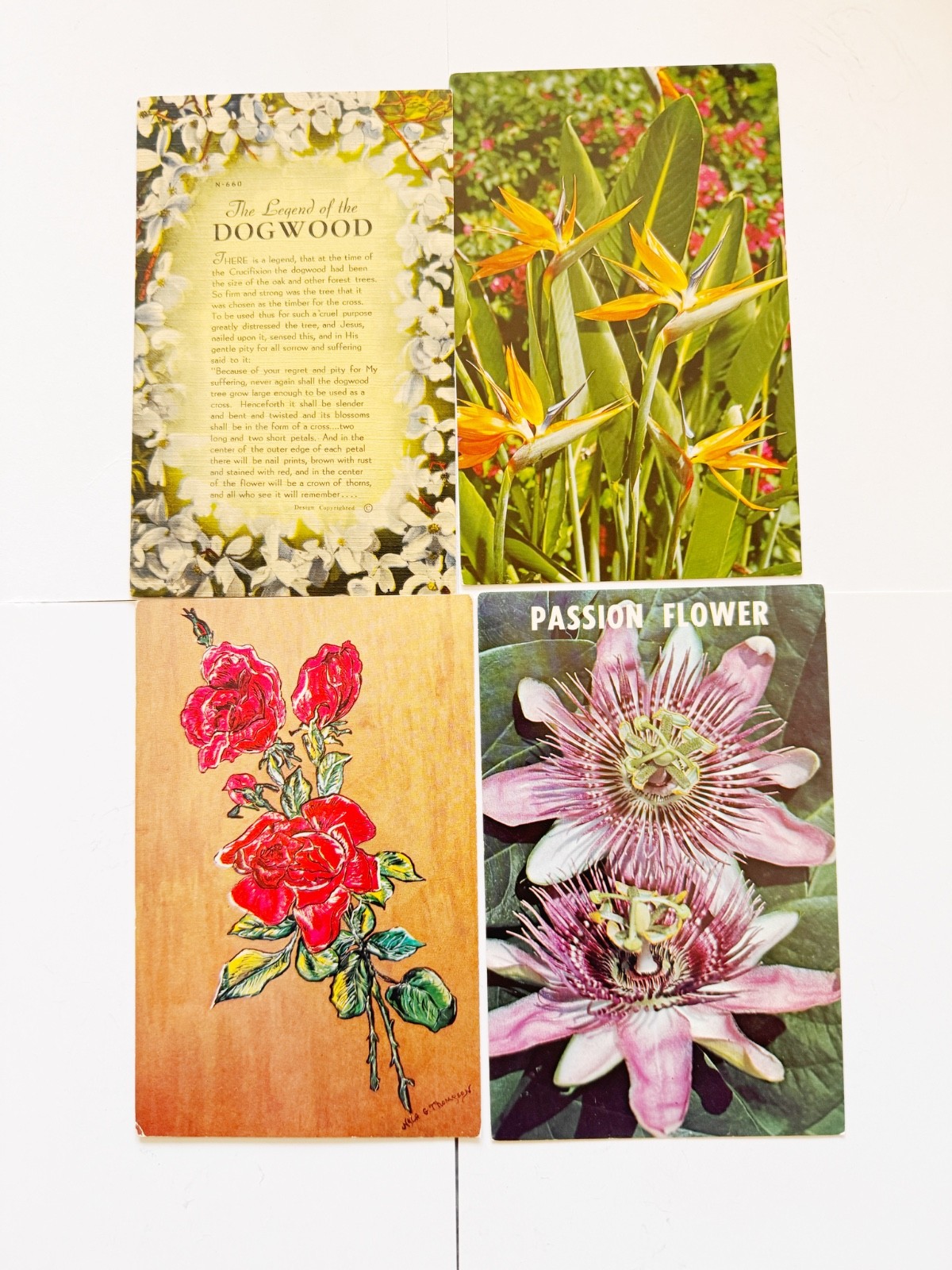 4 Vintage Postcards Floral Lot Mouth Painted Art Passion Flower Unused