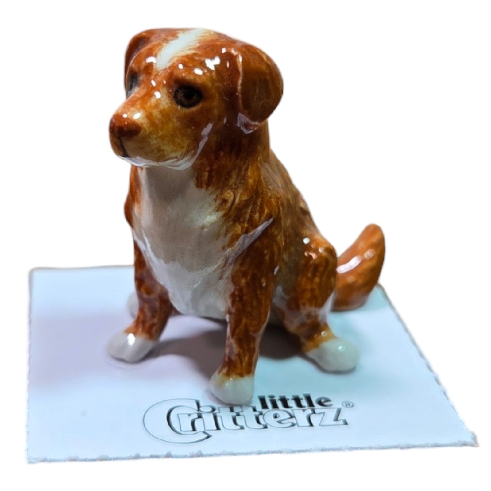 LITTLE CRITTERZ Dog Nova Scotia Duck Tolling Retriever LITTLE CRITTERZ Dog Nova Scotia Duck Tolling Retriever
