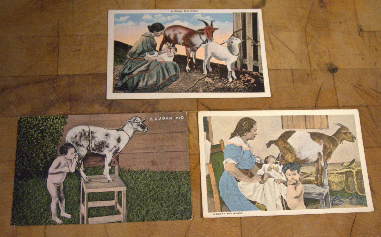 Lot of 3 Cuba Cuban Wet Nurse Goats Postcards Old Vintage Card Souvenir