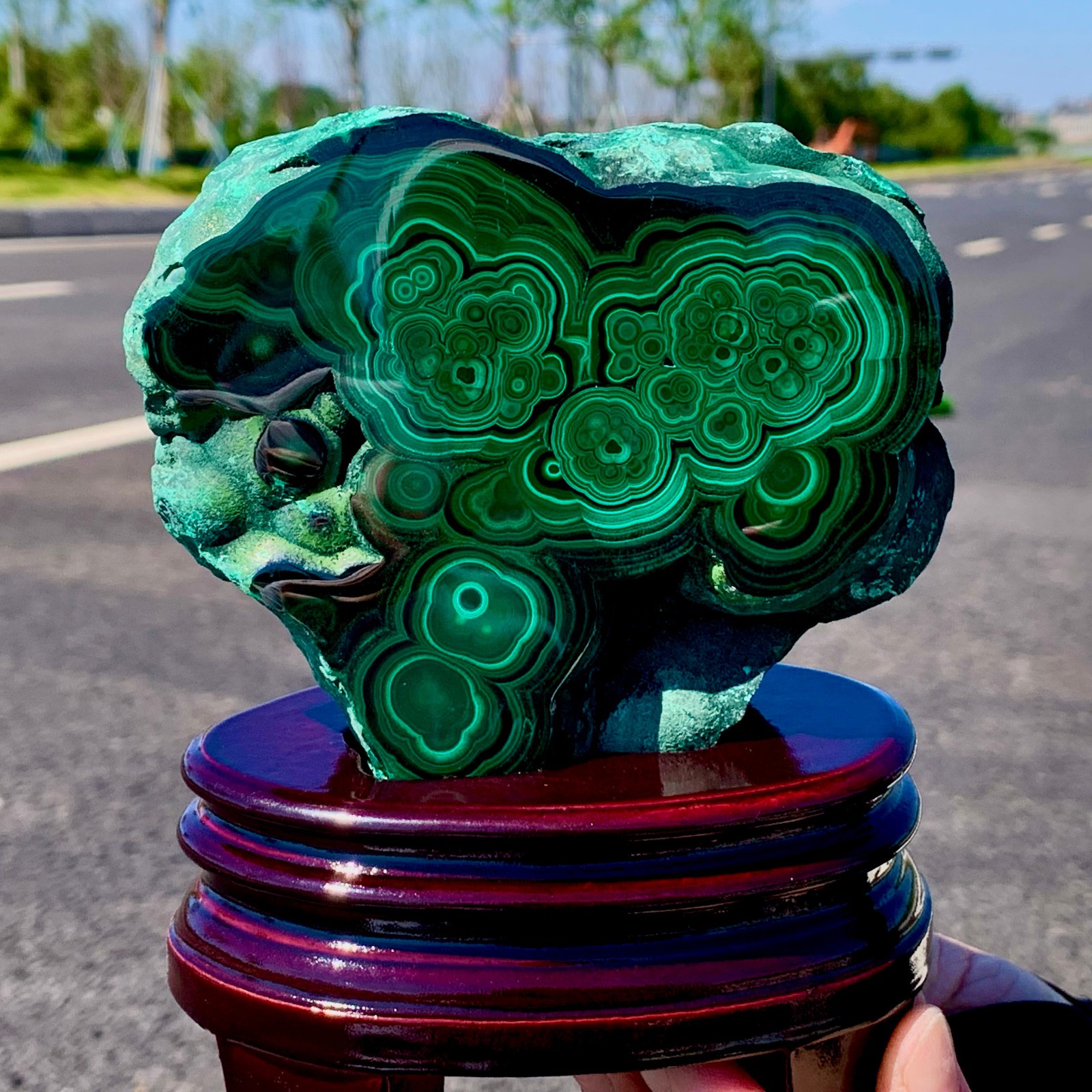 1.85LB Natural glossy Malachite transparent crystal rough mineral sample
