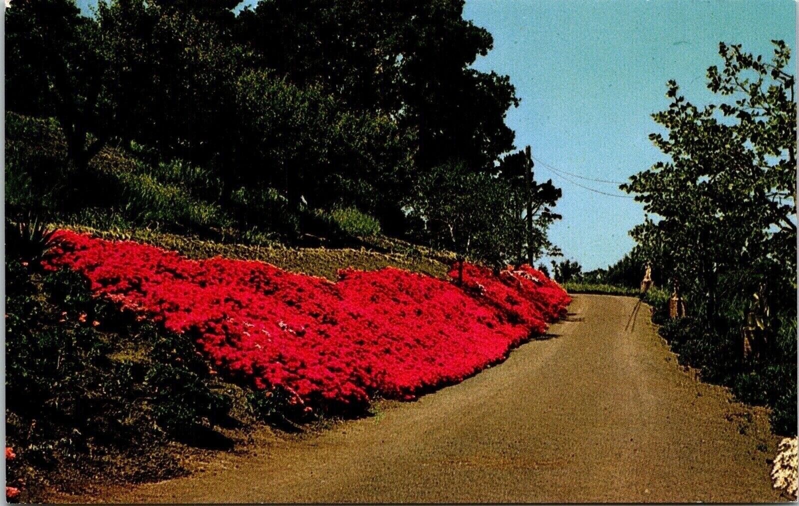 El Retiro Jesuit Retreat House Men Los Altos CA California Rosary Lane Postcard