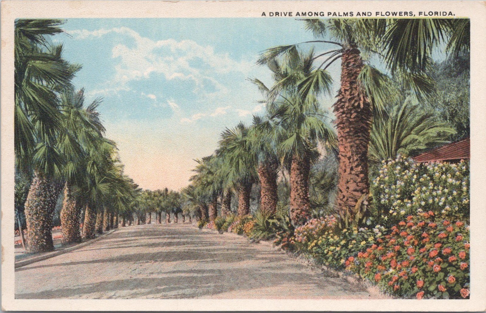 Lithograph ** Florida Scene 