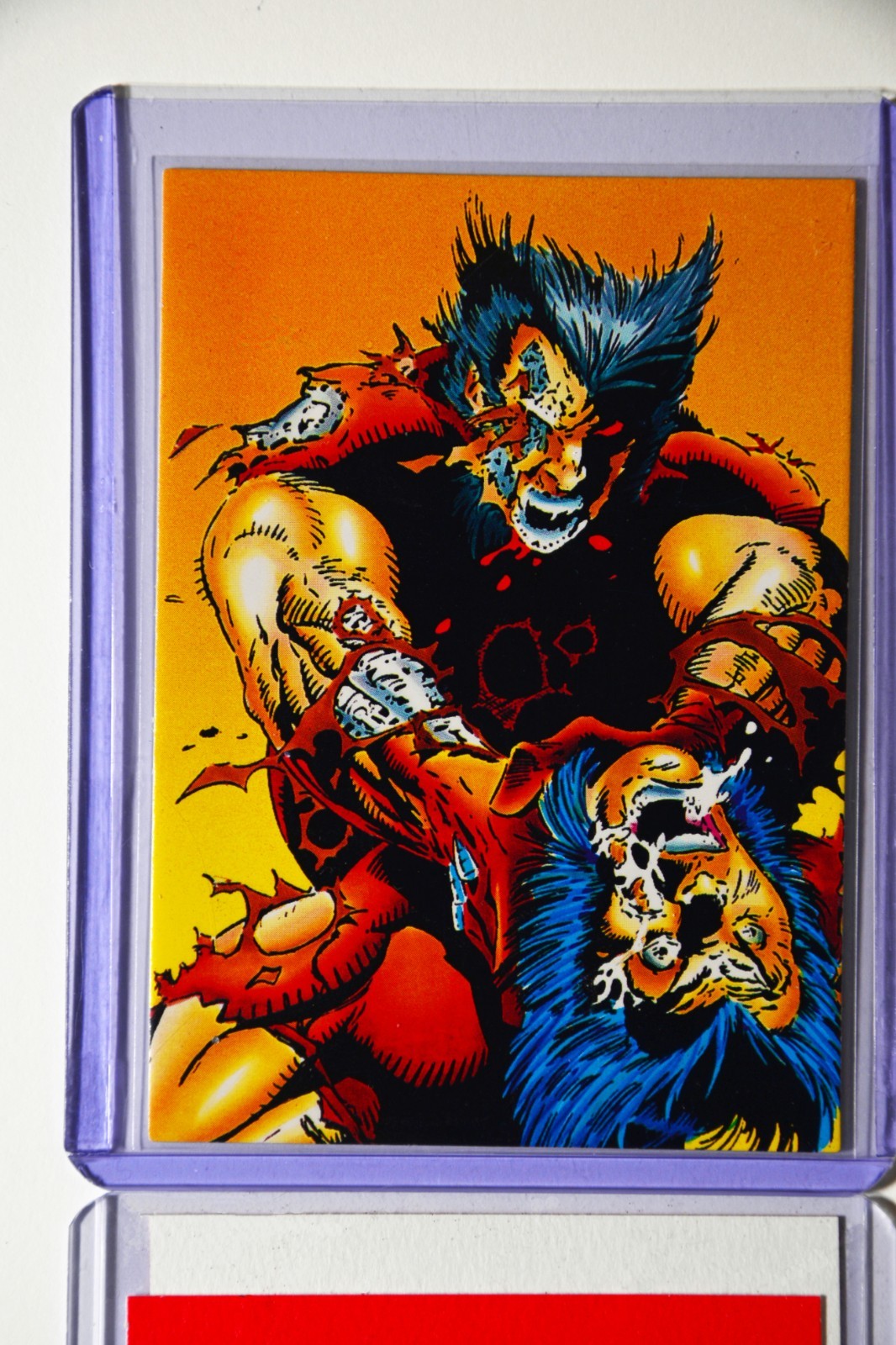 1992 Marvel Cards, Wolverine Series, Lot of FIVE, #69, #81, #72, #20 and #39 1992 Marvel Cards, Wolverine Series, Lot of FIVE, #69, #81, #72, #20 and #39