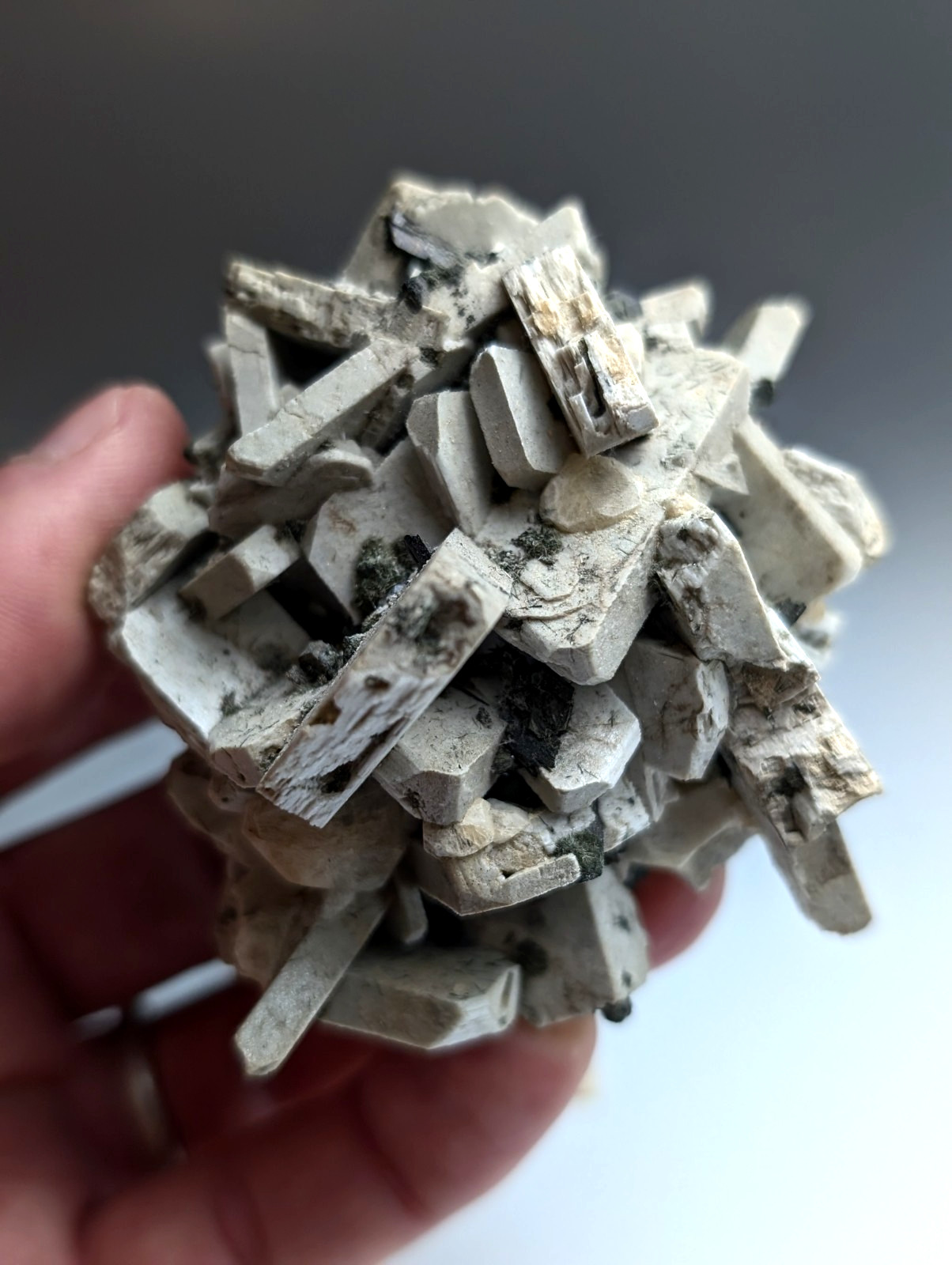 Albite, Biotite, Aegerine, Analcime, 3M Quarry, Little Rock, Arkansas, Delinde Albite, Biotite, Aegerine, Analcime, 3M Quarry, Little Rock, Arkansas, Delinde