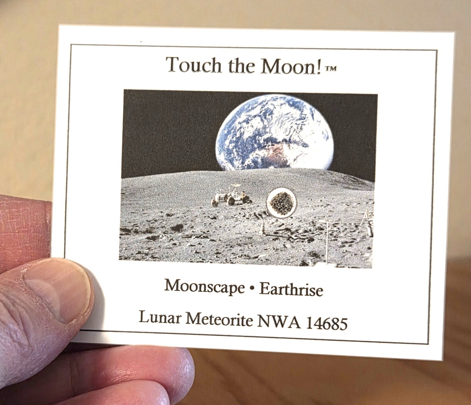 Genuine Moon Rock Mini-Museum Display. Lunar Meteorite. Stand. Authenticity Card