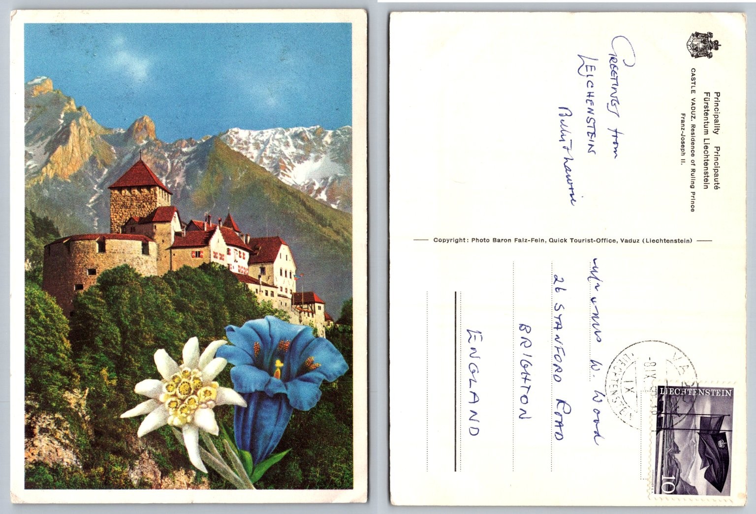 Vaduz Castle Liechtenstein Postcard - Edelweiss Gentian Flowers 1950 Posted Vaduz Castle Liechtenstein Postcard - Edelweiss Gentian Flowers 1950 Posted