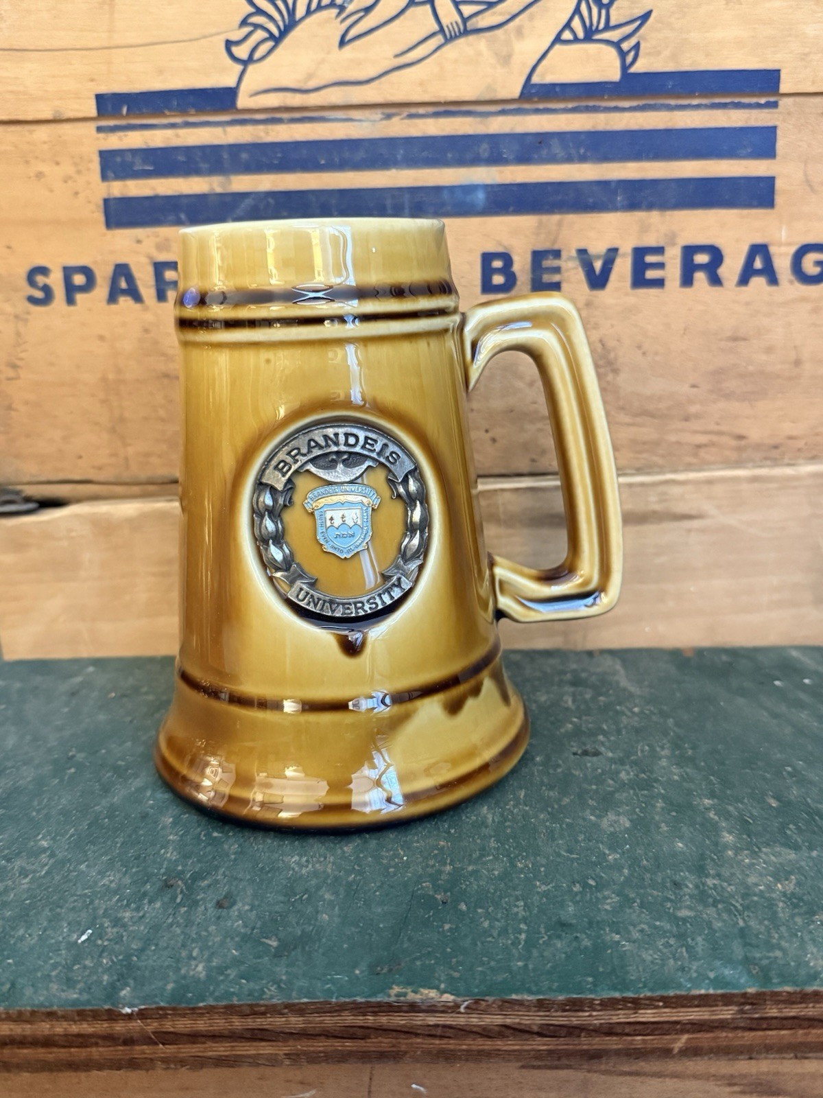 Rare Vintage Brandeis University Ceramic Stein Mug 3D Emblem Waltham 6\
