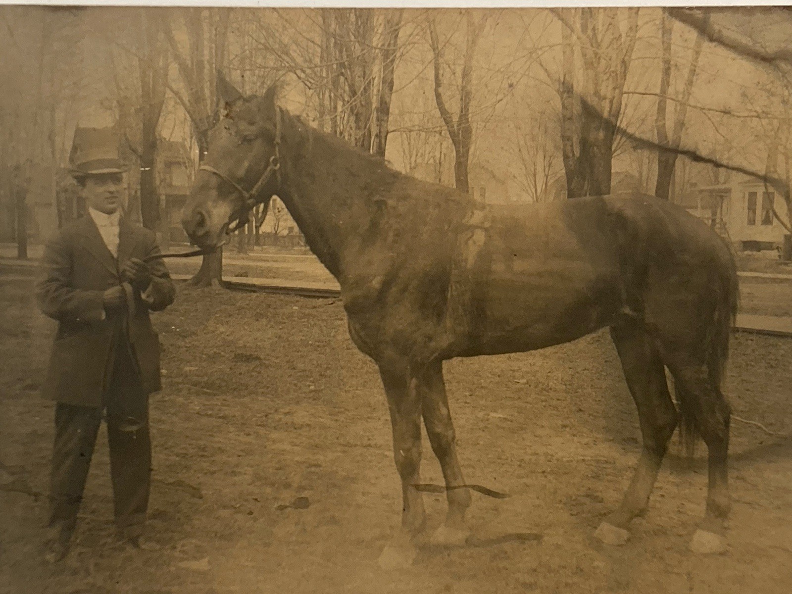 C. 1909 Stockbridge, MI Michigan RPPC Real Photo Postcard Trotter Horse & Owner