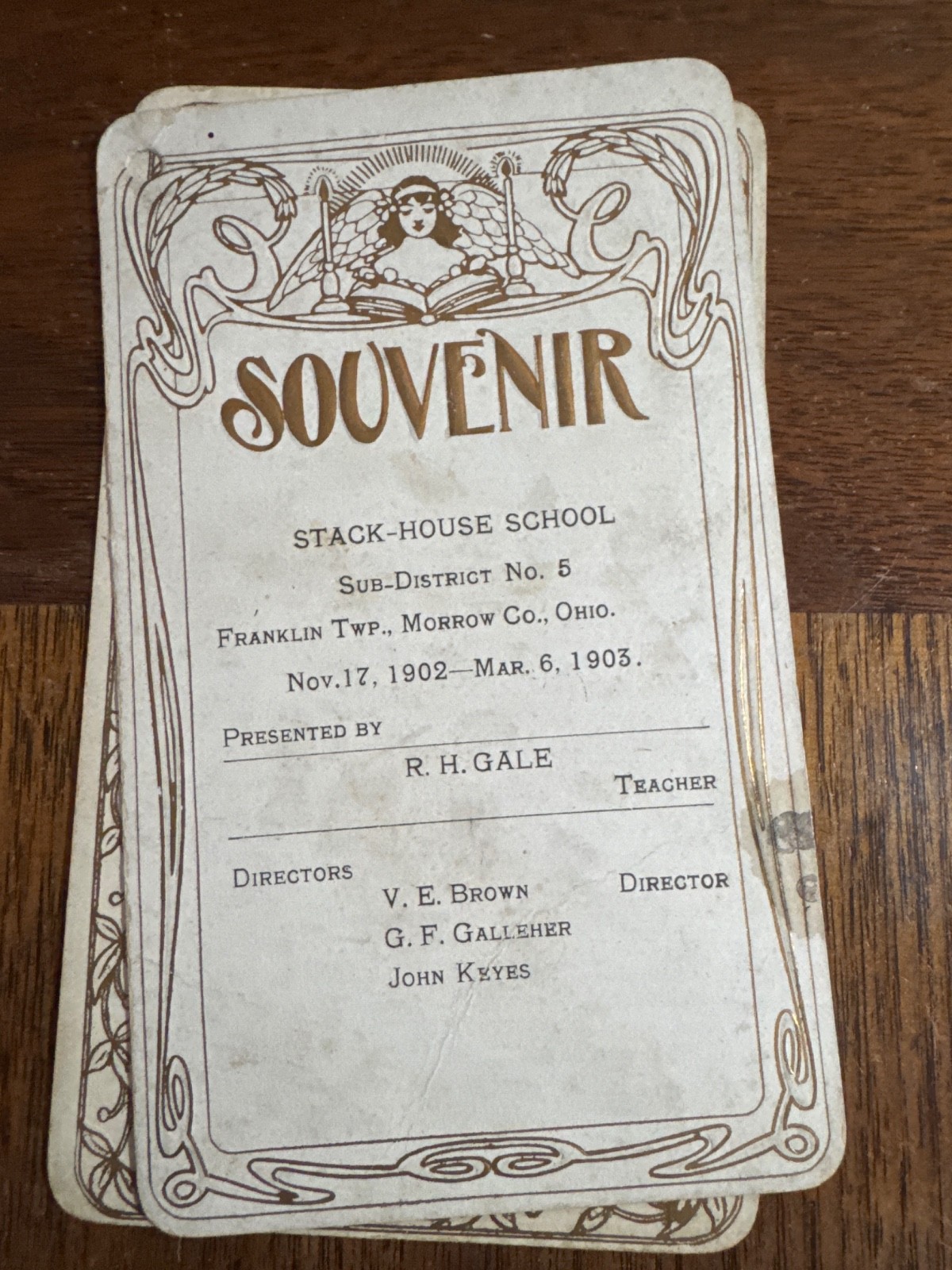 Vintage 1902 Ohio Stack-House Public School Souvenir Morrow Mt Gilead Franklin23