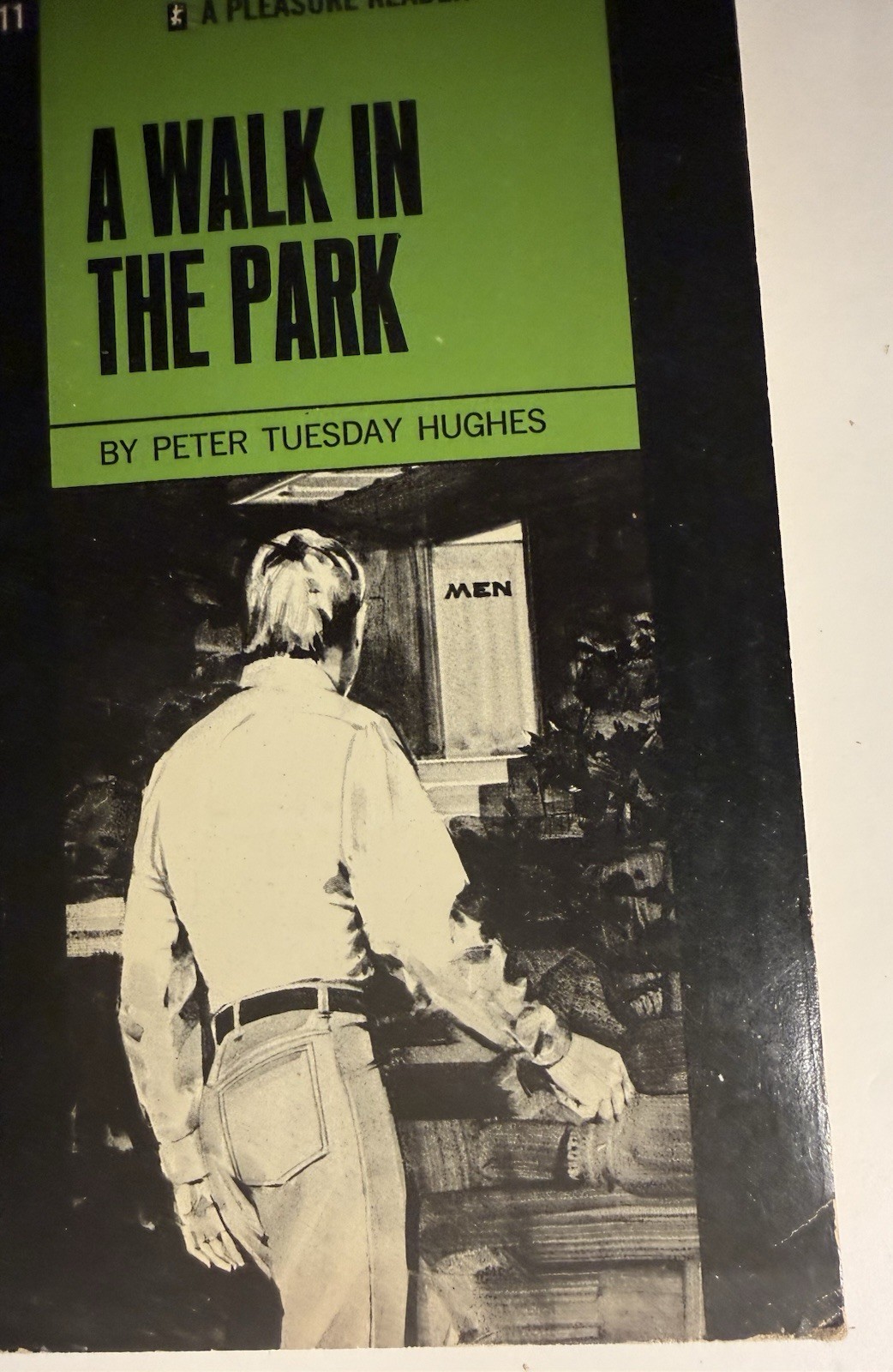 A WALK IN THE PARK - 1971 PETER TUESDAY HUGHES -PLEASURE RDR- VTG NOVEL GAY INTR