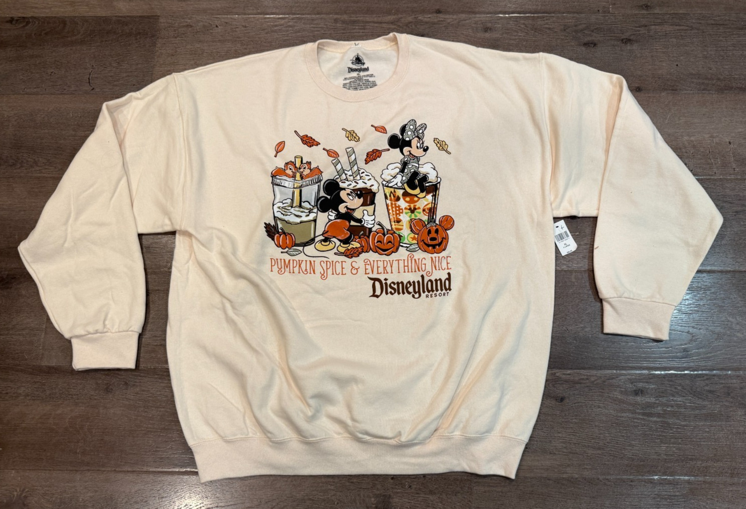 Disney Disneyland Pumpkin Spice & Everything Nice Halloween Sweatshirt L-XL-XXL