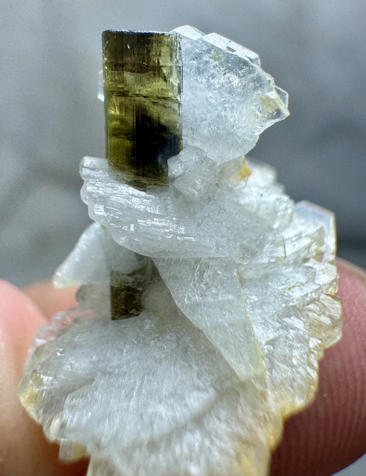 14 Ct Natural Yellowish Green Colour Tourmaline On Matrix , Paprok mine @Afg