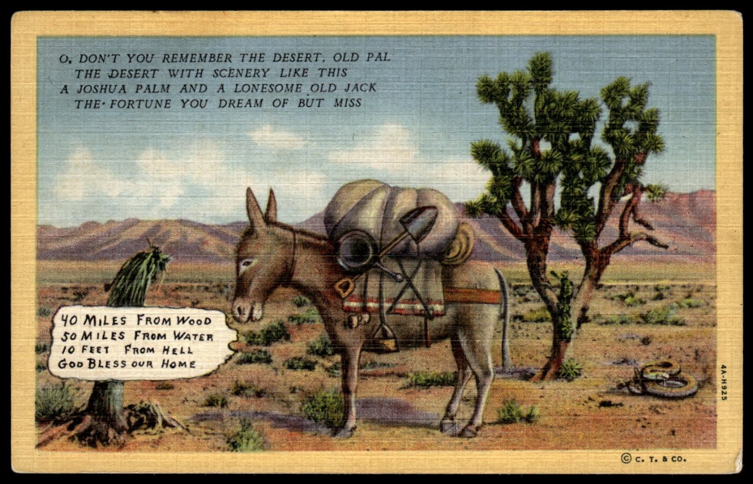 Vintage Desert Burro Joshua Tree Humor Linen Postcard Nevada 1934 CT Vintage Desert Burro Joshua Tree Humor Linen Postcard Nevada 1934 CT