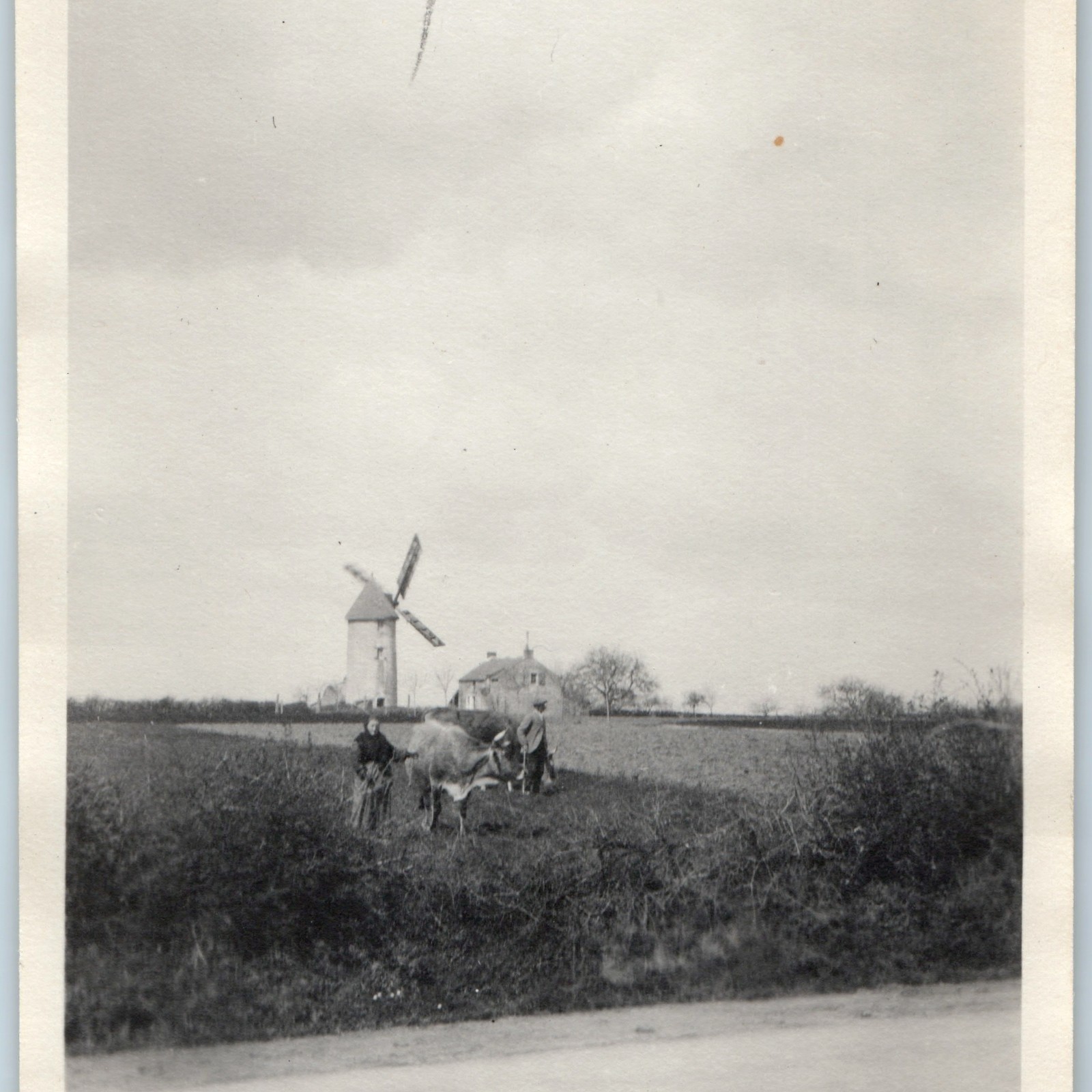 c1910s Savenay France Snapshot Photo Windmill Moulin Farm Rural Couple Cow Vtg