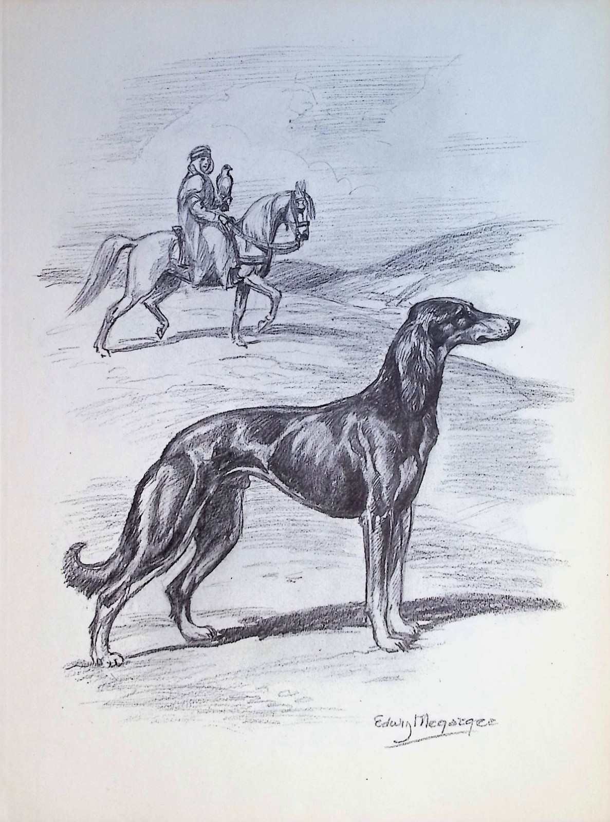 Original 1940s Edwin Megargee Art Print: Saluki Afghan Sighthound Horse Falcon