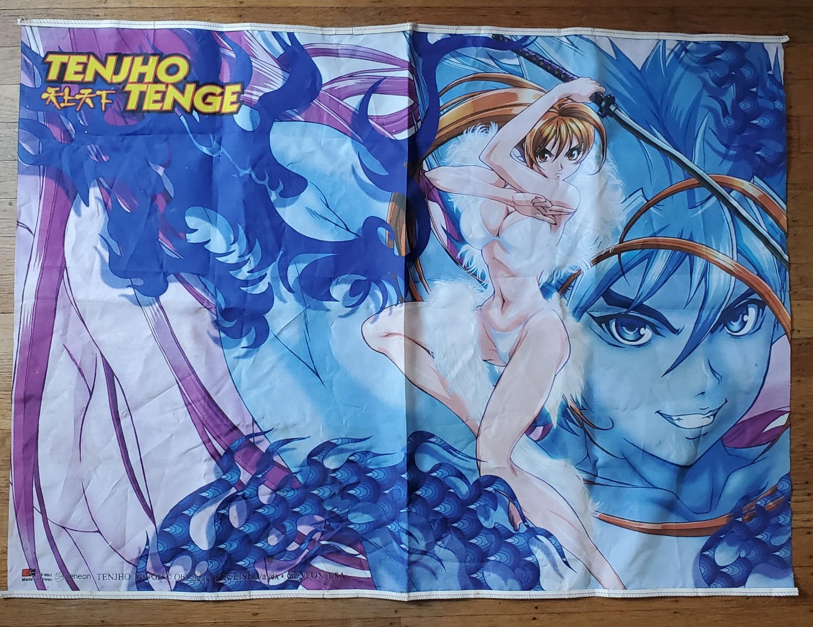 VINTAGE ANIME TENJHO TENGE Fabric Wall Scroll POSTER ART 2000\'s Approx. 30\ VINTAGE ANIME TENJHO TENGE Fabric Wall Scroll POSTER ART 2000\'s Approx. 30\
