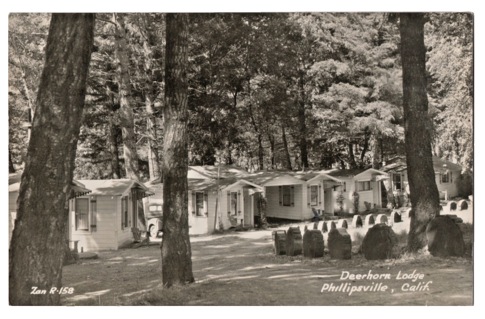 ZAN~REAL PHOTO POSTCARD~DEERHORN LODGE~PHILLIPSVILLE,CA~Humboldt County~REDWOODS ZAN~REAL PHOTO POSTCARD~DEERHORN LODGE~PHILLIPSVILLE,CA~Humboldt County~REDWOODS