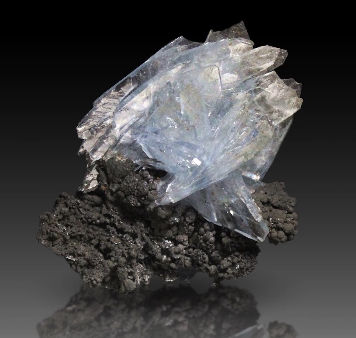 Blue Baryte Spray On Matrix Mineral Specimen From Morocco