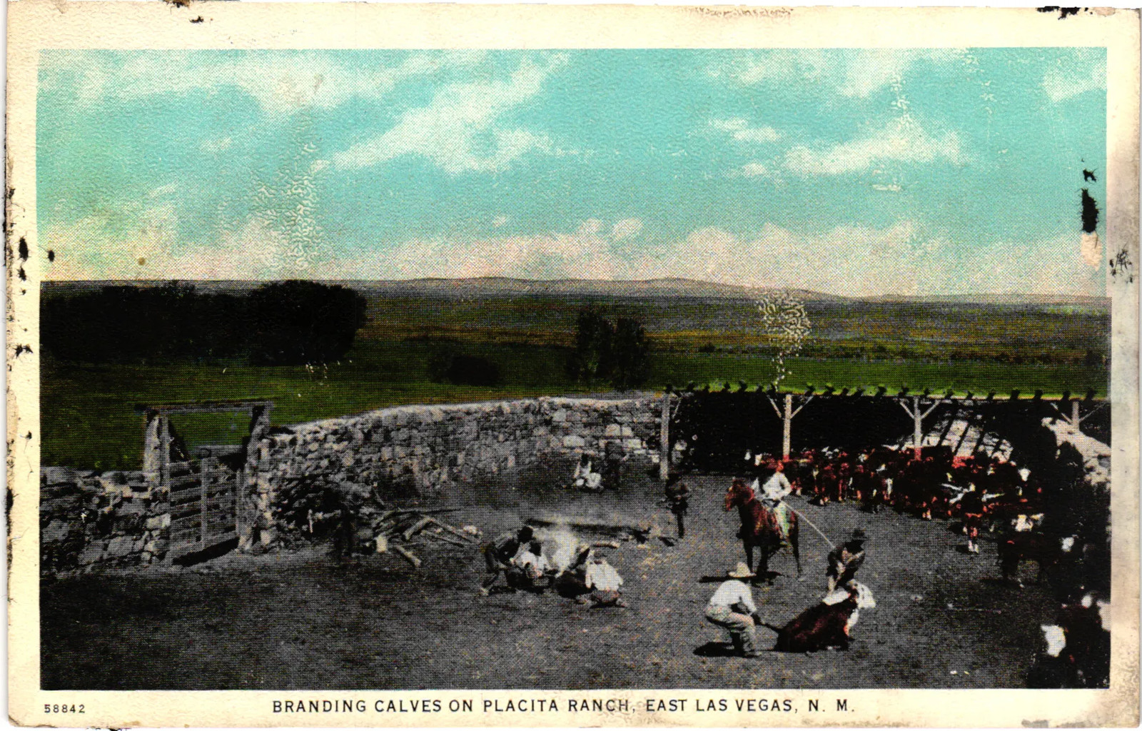 Vintage Postcard- Branding Calves on Placita Ranch, East Las Vegas, N. M