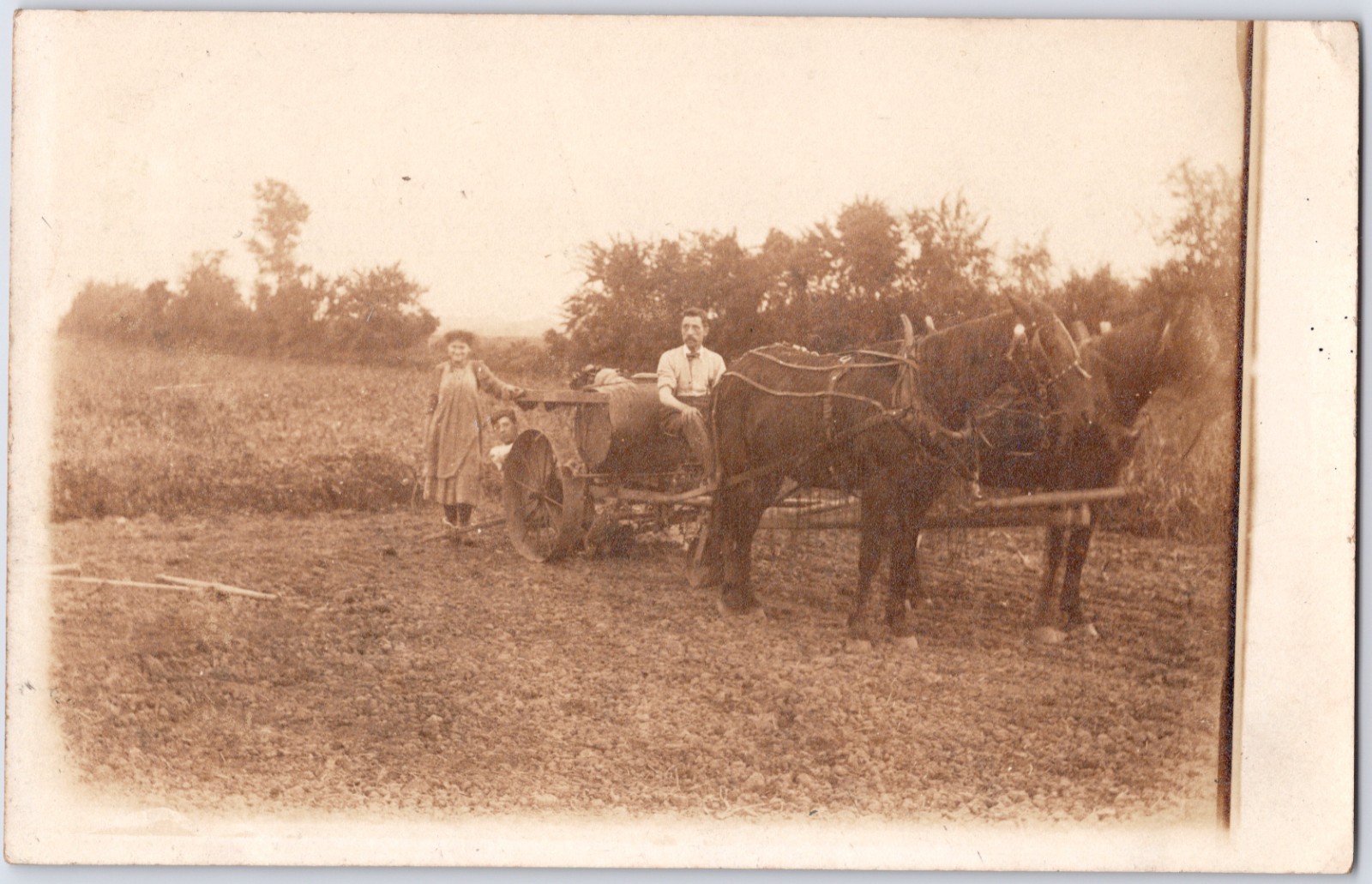 VINTAGE RPPC FARM FAMILY HORSE TEAM CART FIELD ARTURA PHOTO POSTCARD PX