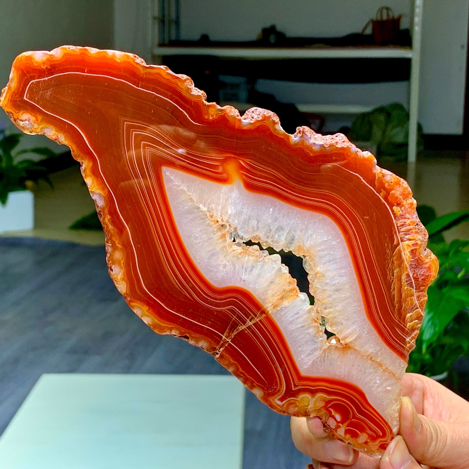 408G Natural red Banded agate quartz crystal slice mineral specimen