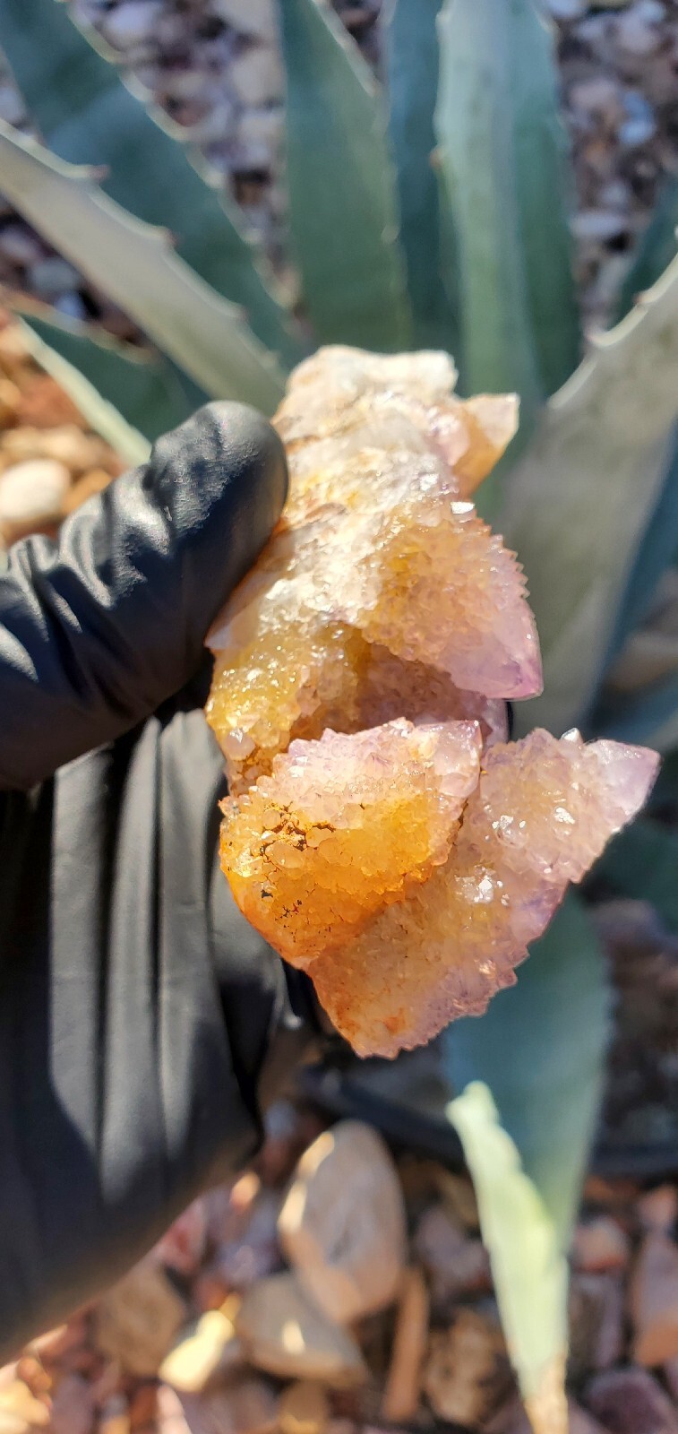 Amethyst Spirit Quartz Crystal Cluster Specimen 131g SQ131 Amethyst Spirit Quartz Crystal Cluster Specimen 131g SQ131
