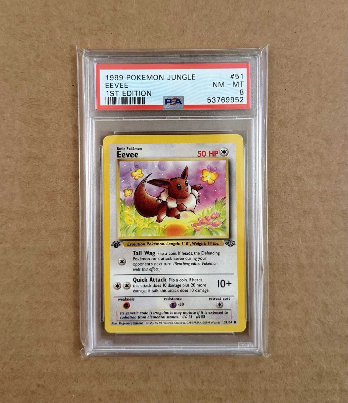 Pokémon 1999 Eevee Jungle 1ST EDITION 51/64 PSA 8 NM-MT