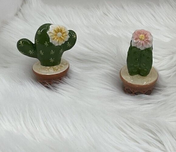 Southwestern Cactus Salt & Pepper Shakers Set Novelty Desert Flower