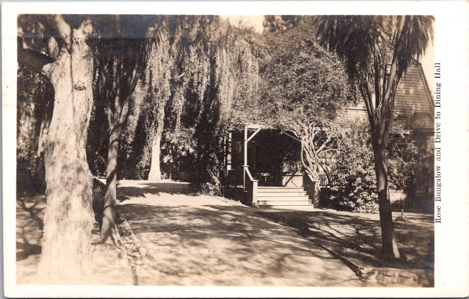 Real Photo Postcard Rose Bungalow and Drive to Dining Hall Pasadena, California