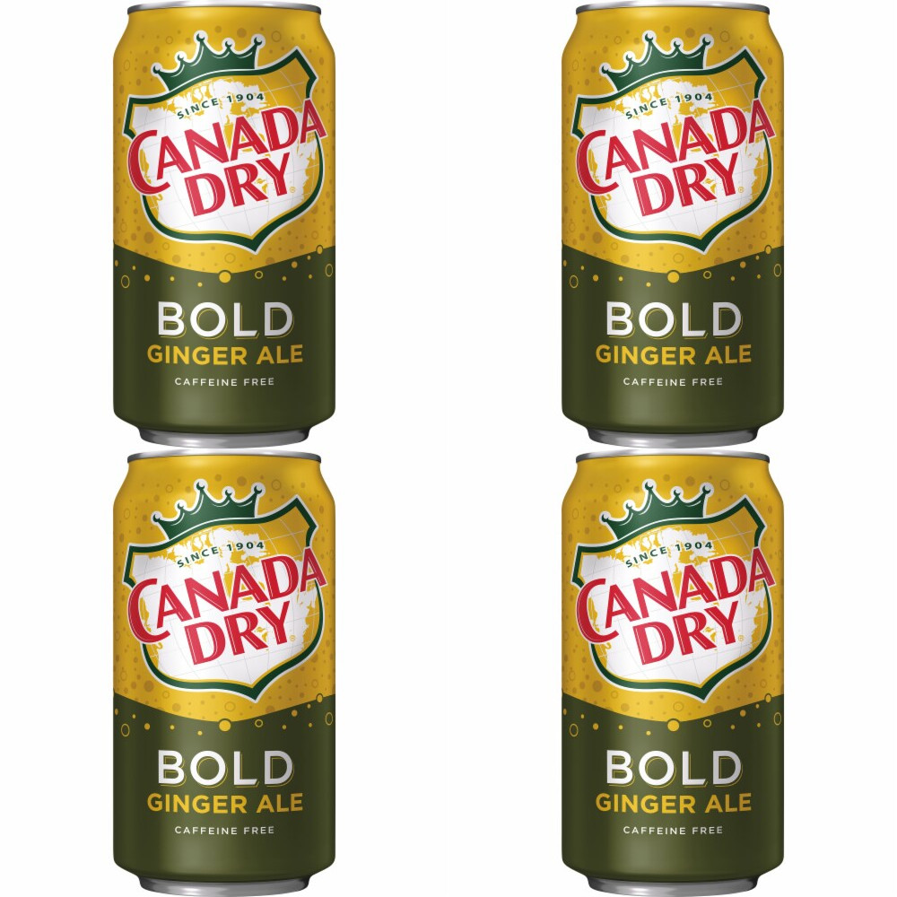Canada Dry Bold Ginger ale (4 Cans)