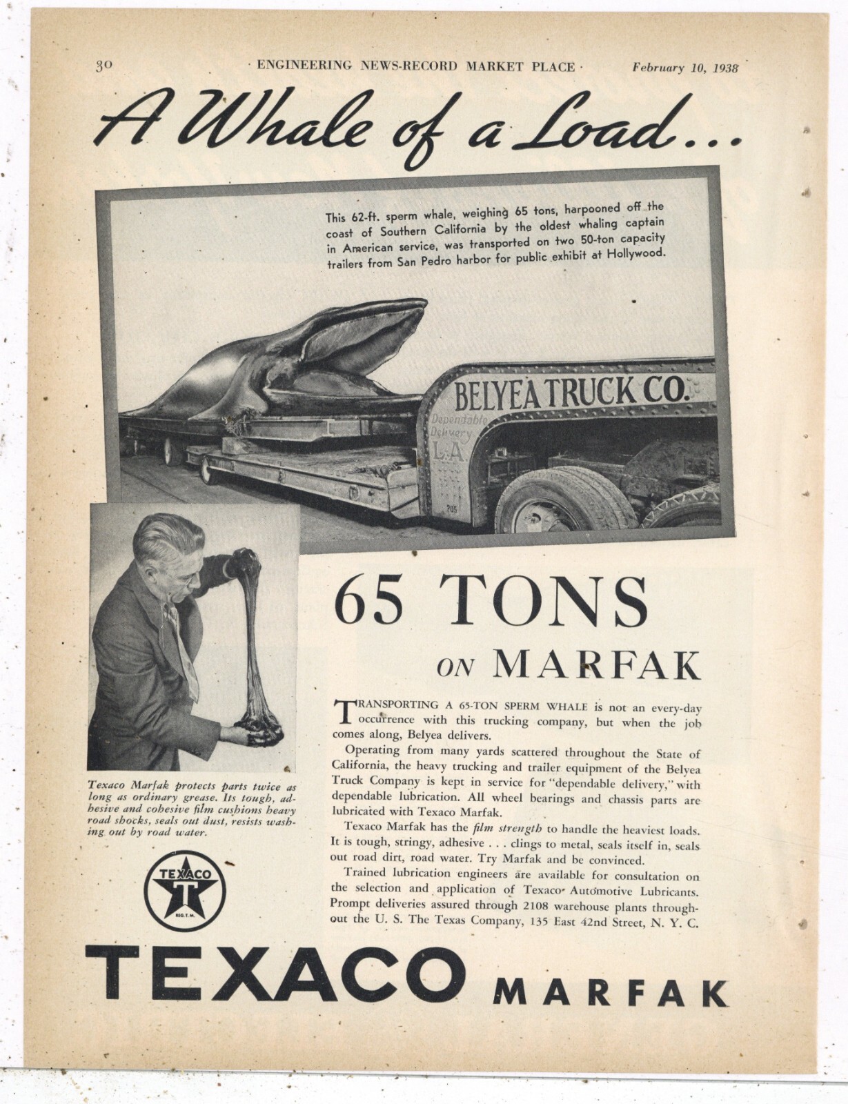 1938 Texaco Marfak Ad: Belyea Trucking Co. w. Harpooned Sperm Whale, San Pedro