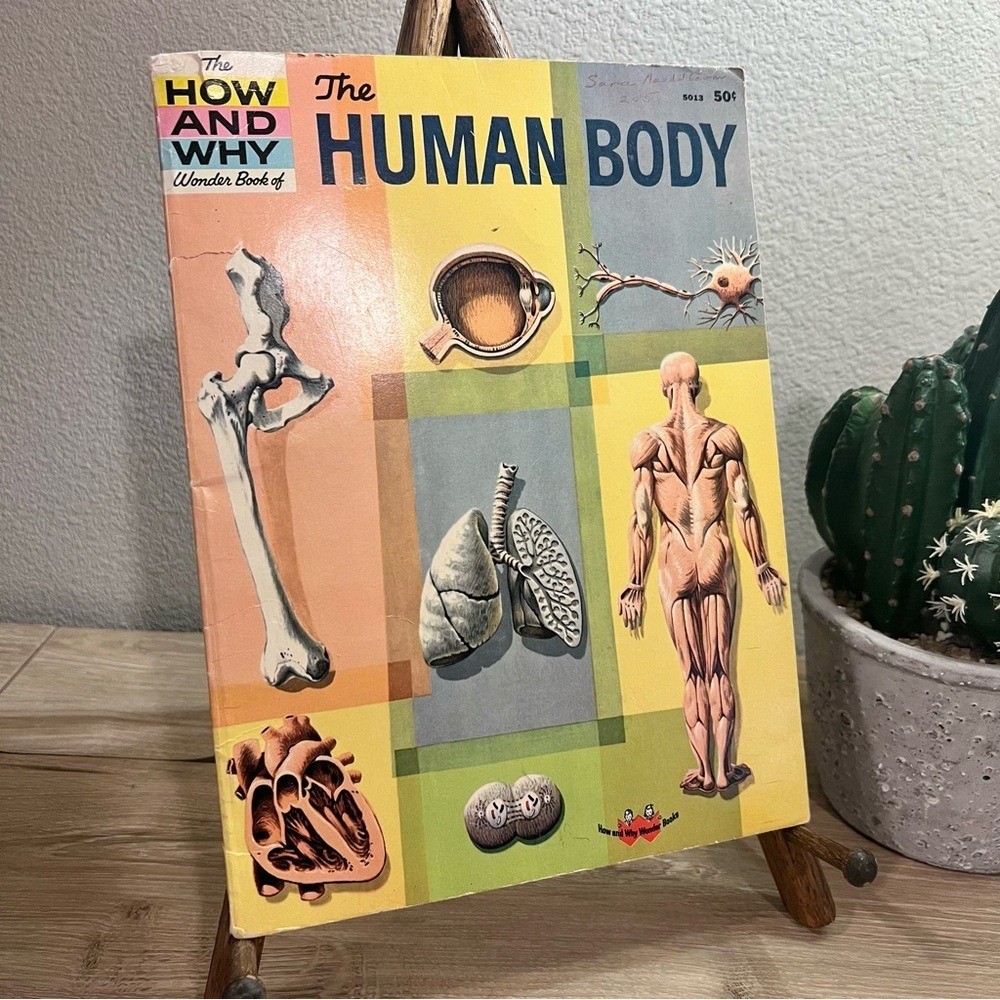 Vintage 1961 How and Why Wonder Book Human Body Science Paperback 5013