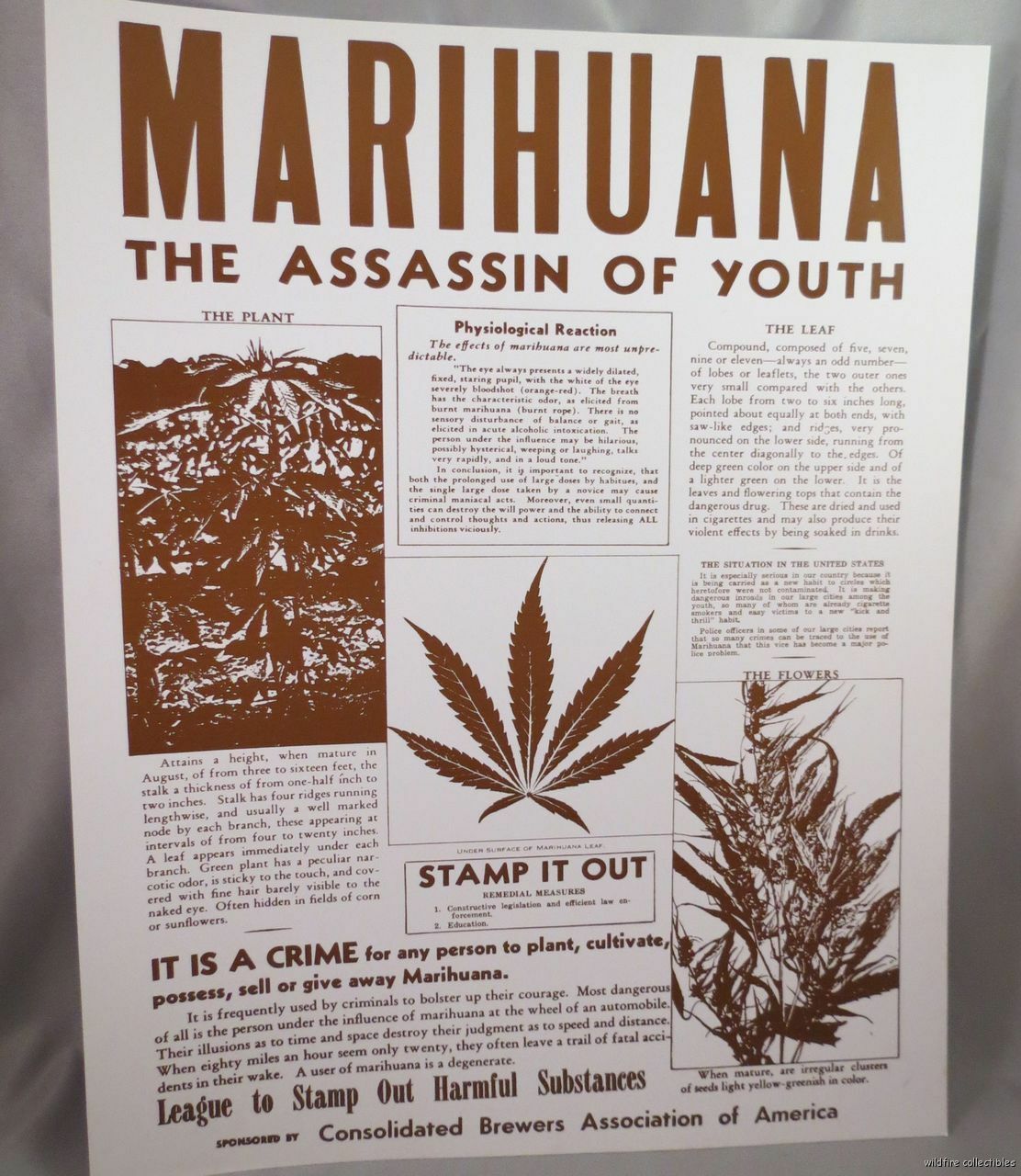 VINTAGE 60S MARIHUANA MARIJUANA POT ANTI DRUG PRINT AD weed 420 poster medical VINTAGE 60S MARIHUANA MARIJUANA POT ANTI DRUG PRINT AD weed 420 poster medical