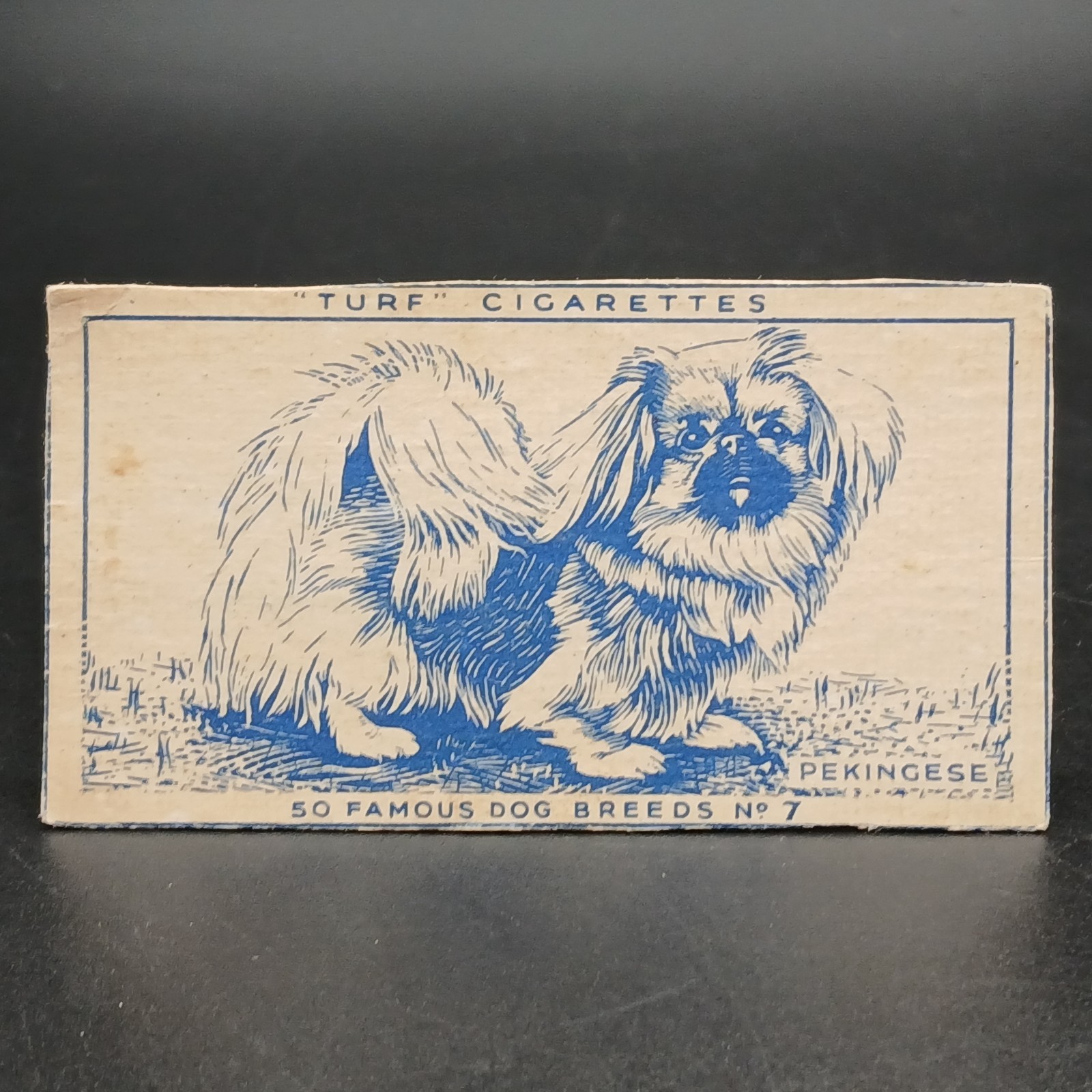 1940s Turf Famous Dog Breeds PEKINGESE Vintage Tobacco Cigarette Card