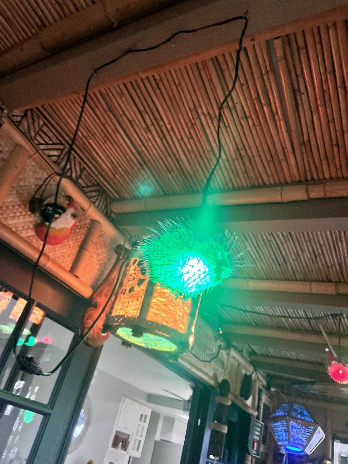 NEW 4”-5” Pufferfish Lamp w/Green  LED Tiki bar Smokin Tikis Oceanic