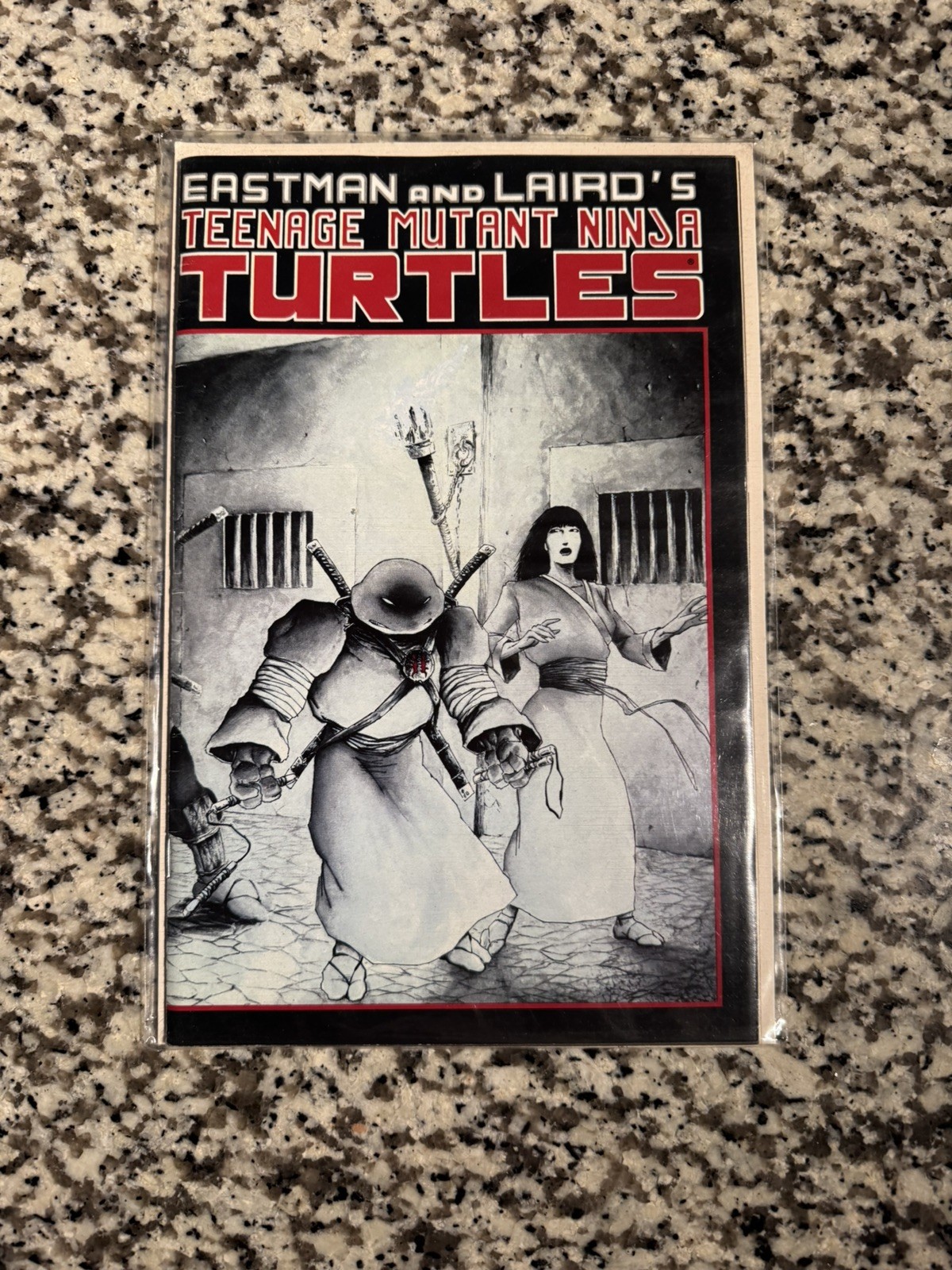 Teenage Mutant Ninja Turtles #17 (Mirage Studios November 1988) Teenage Mutant Ninja Turtles #17 (Mirage Studios November 1988)