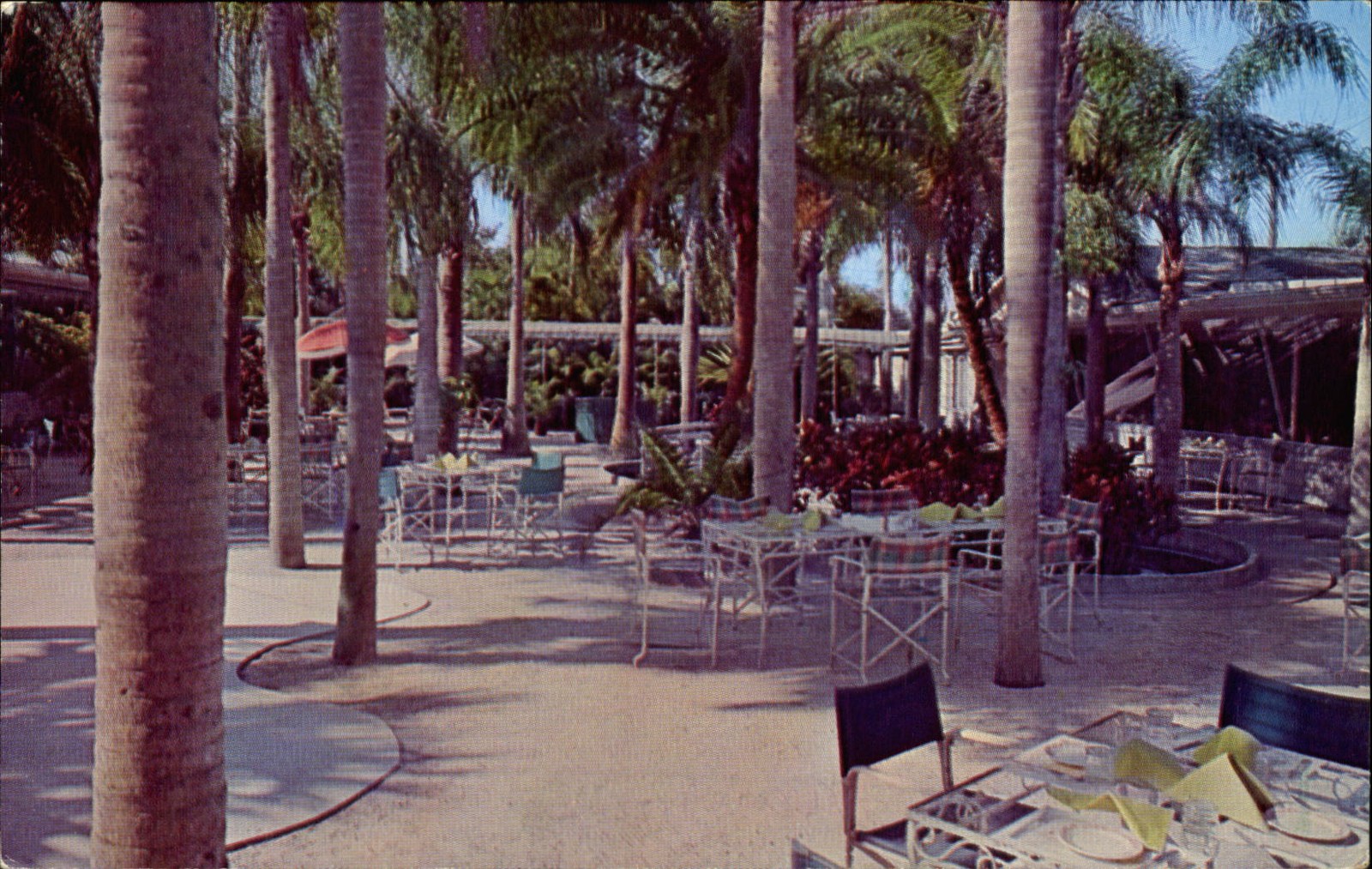 Palm Garden Restaurant ~ Indian Rocks Road ~ Largo Florida ~outdoor dining~1960s Palm Garden Restaurant ~ Indian Rocks Road ~ Largo Florida ~outdoor dining~1960s