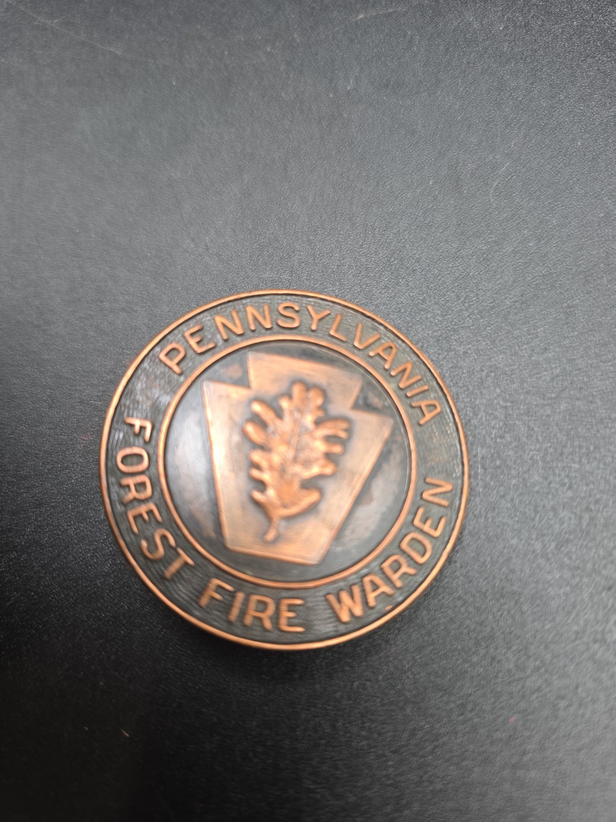 Vintage Pennsylvania Forest Fire Warden Badge Pin
