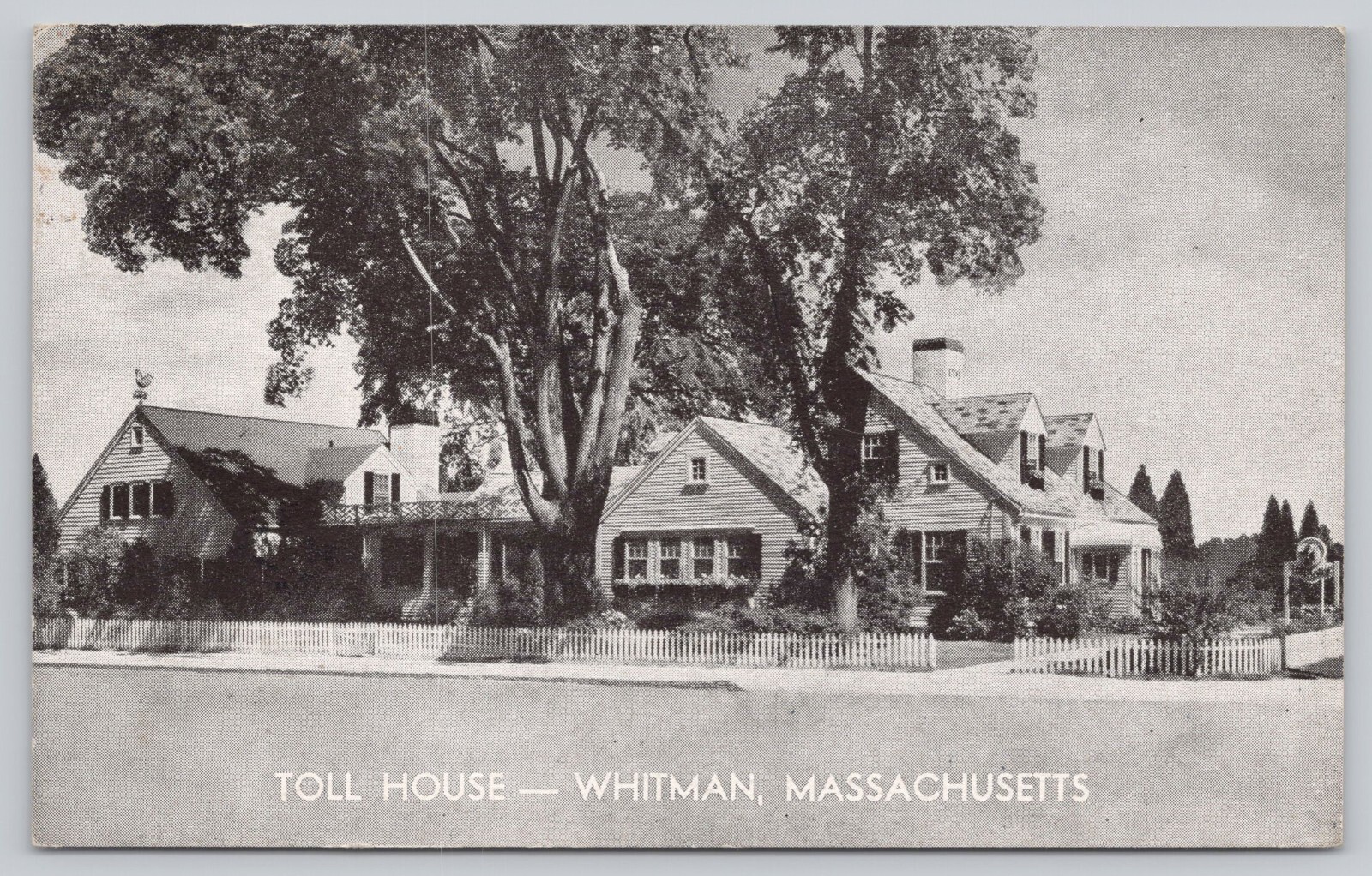 Postcard Toll House Whitman Massachusetts  c1950